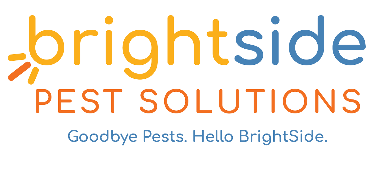 Brightside Pest Solutions