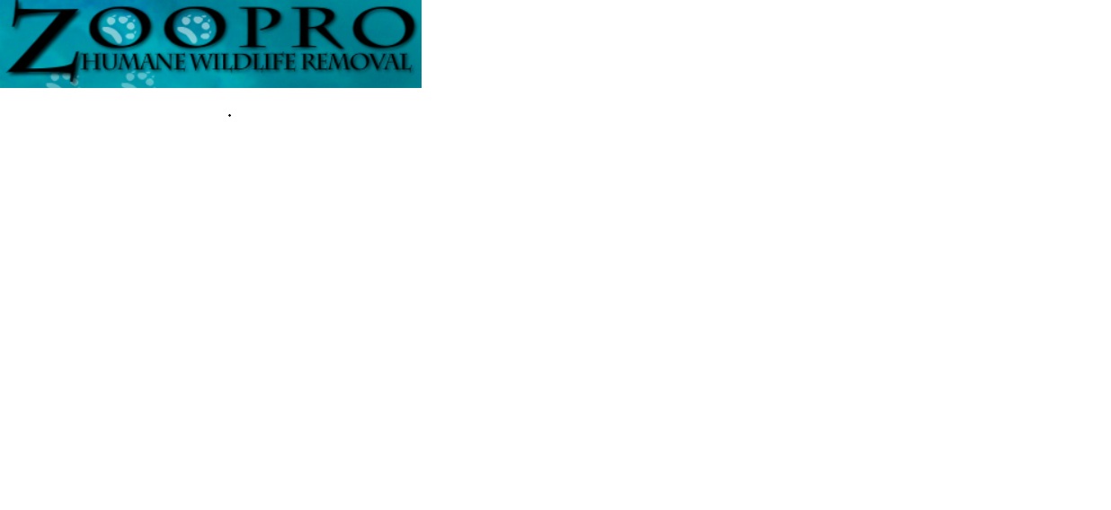ZooPro Wildlife Removal